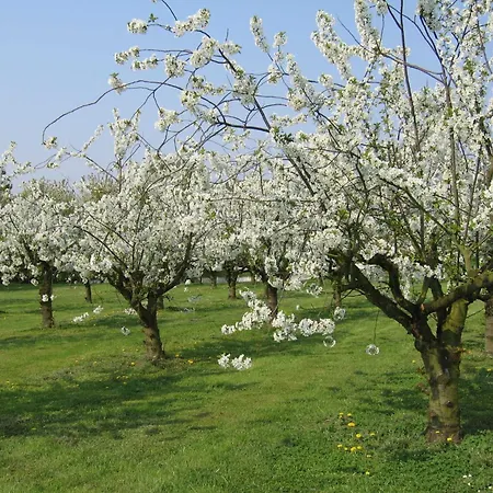 Robinson Im Altes Land Direkt An Der Elbe *